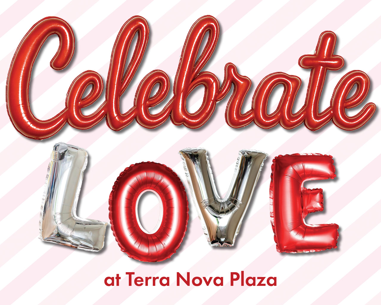 Valentine’s Day Contest | Terra Nova Plaza